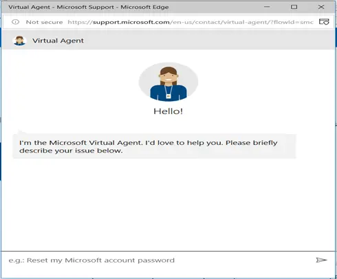 Microsoft Virtual Agent